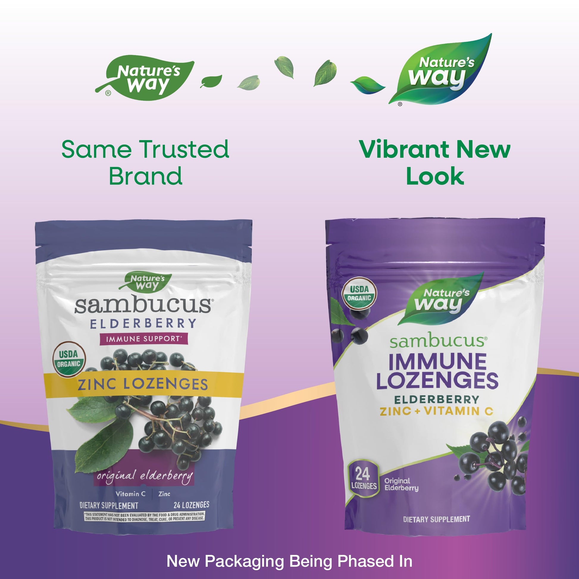 Nature's Way Organic Sambucus Zinc Lozenges - With Elderberry & Vitamin C - Vegan & Gluten Free - 24 Lozenges (Pack of 3) - Nirvana Guru
