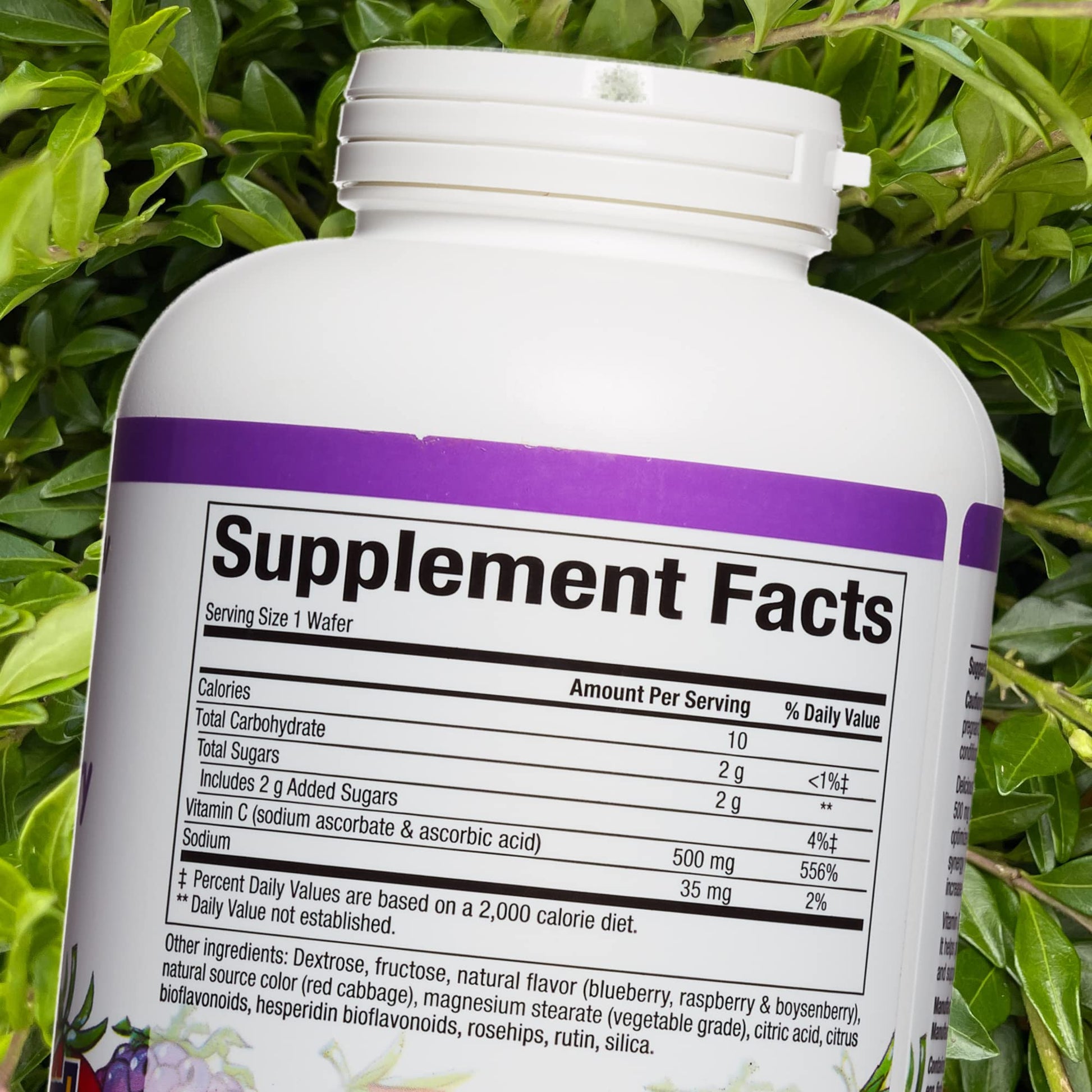 Natural Factors, Kids Chewable Vitamin C 500 mg, Supports Immune Health, Bones, Teeth and Gums, Tangy Orange, 180 Count (Pack of 1) - Nirvana Guru