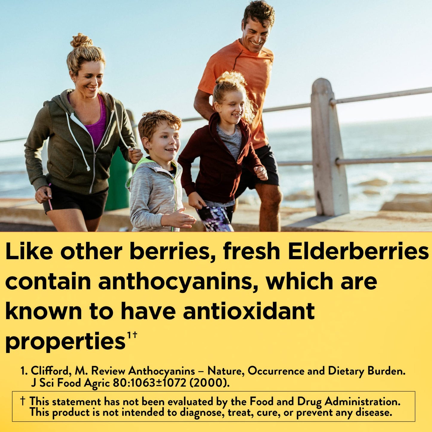 Nature Made Elderberry with Vitamin C and Zinc, Dietary Supplement for Immune Support, 100 Gummies, 50 Day Supply - Nirvana Guru