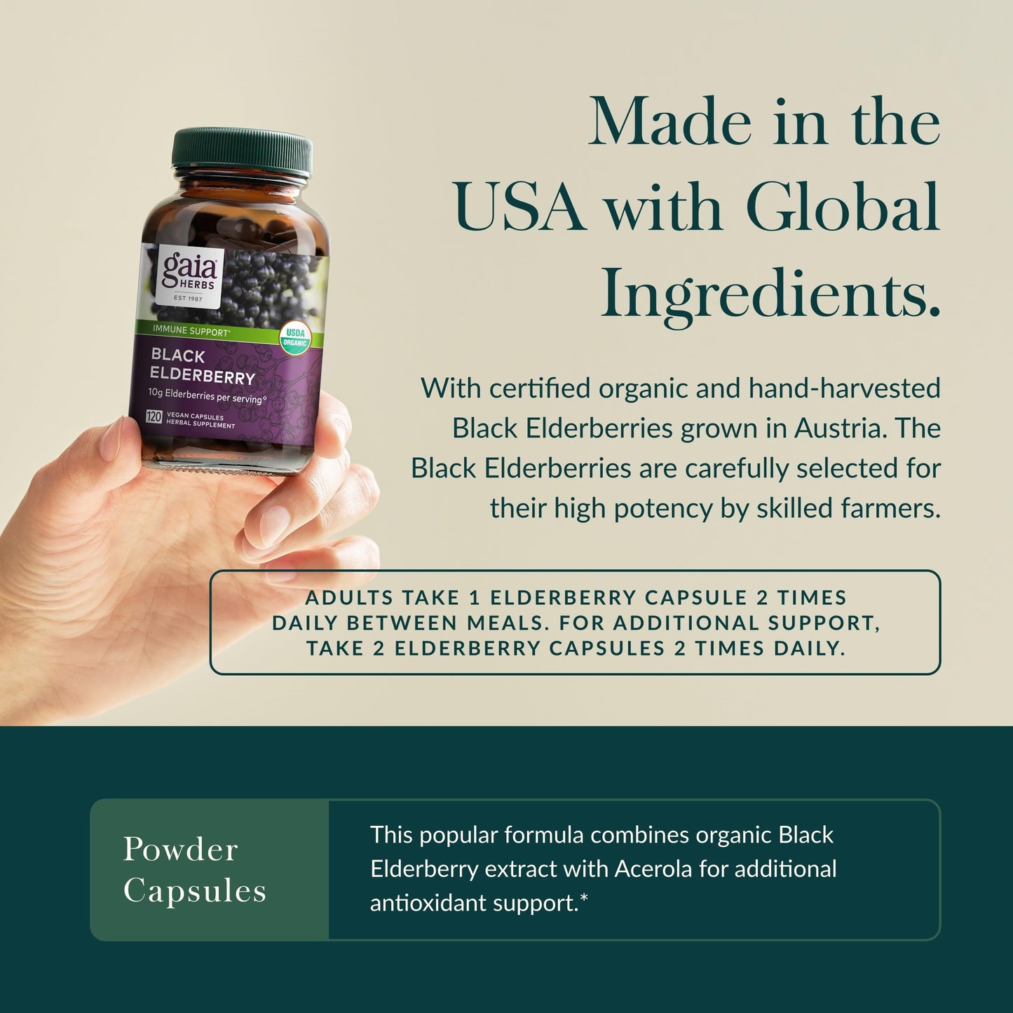 Gaia Herbs Black Elderberry - Daily Immune Support Supplement to Help Maintain Well-Being- with Black Elderberries and Acerola Fruit for Antioxidant Support - 120 Vegan Capsules (60-Day Supply) - Nirvana Guru