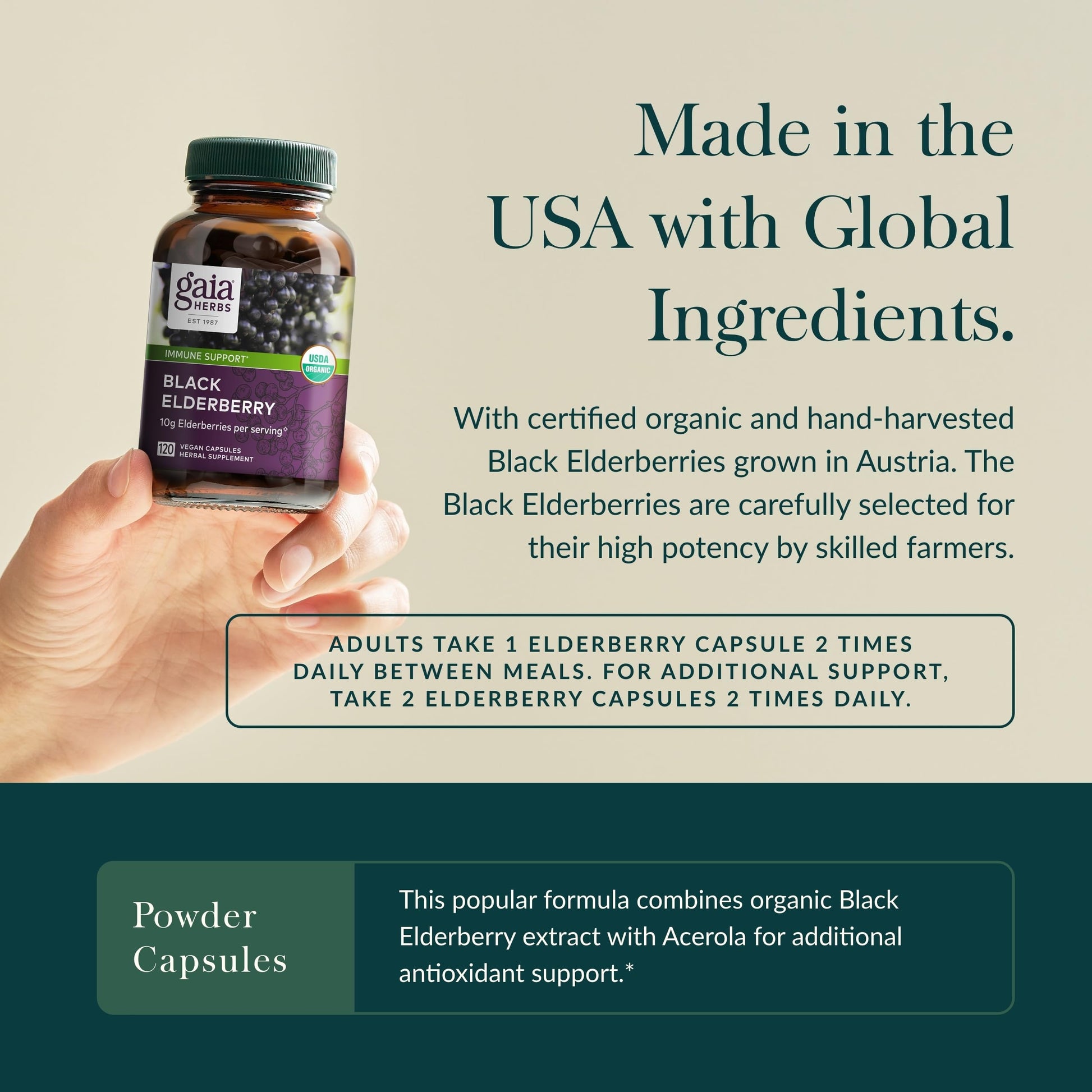 Gaia Herbs Black Elderberry - Daily Immune Support Supplement to Help Maintain Well-Being- with Black Elderberries and Acerola Fruit for Antioxidant Support - 120 Vegan Capsules (60-Day Supply) - Nirvana Guru