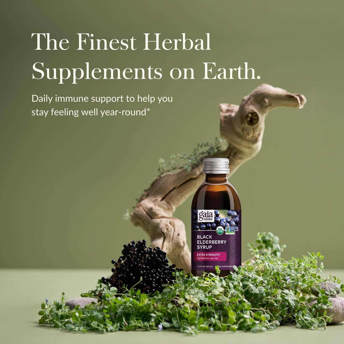Gaia Herbs Black Elderberry(Sambucus Nigra) Syrup Extra Strength-Immune Support Supplement-Made with Organic Black Elderberries for Immune System-USDA Certified Organic Formula - Nirvana Guru