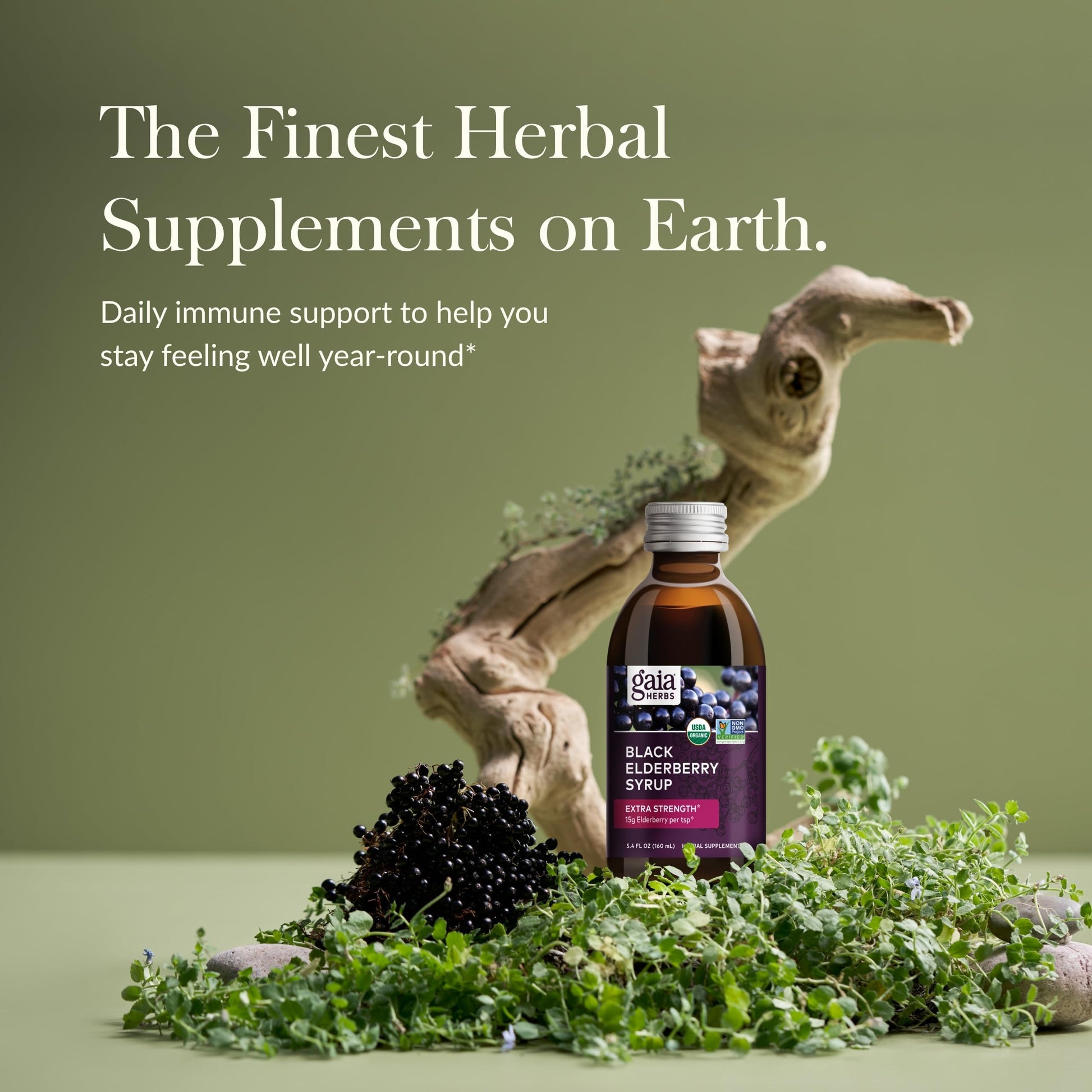 Gaia Herbs Black Elderberry(Sambucus Nigra) Syrup Extra Strength-Immune Support Supplement-Made with Organic Black Elderberries for Immune System-USDA Certified Organic Formula - Nirvana Guru