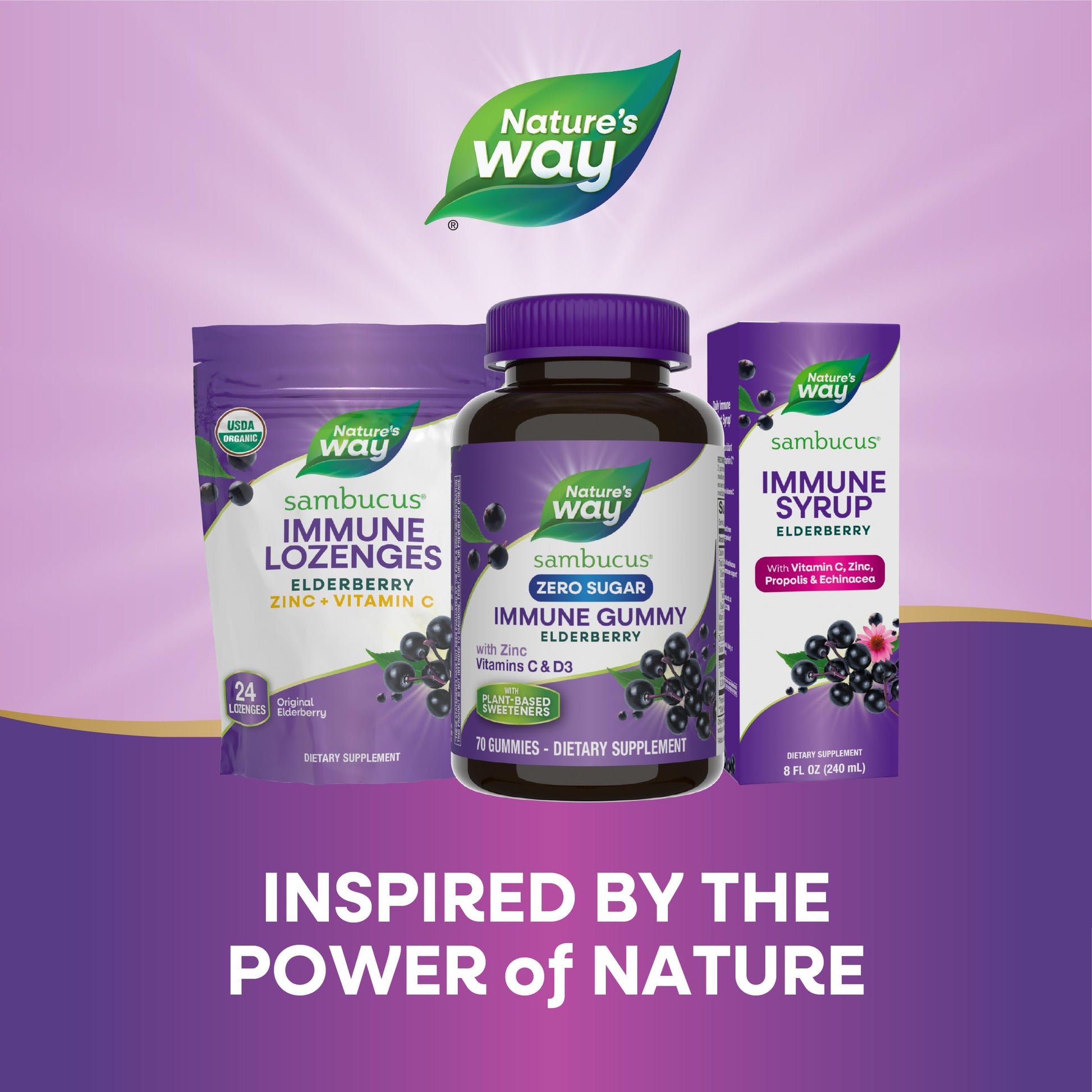 Nature's Way Sambucus Zero Sugar Immune Gummies, Daily Immune Support*, Black Elderberry Extract, Vitamin C, Vitamin D3, Zinc, Sugar Free, Sugar Alcohol Free, Plant-Based Sweeteners, 70 Gummies - Nirvana Guru
