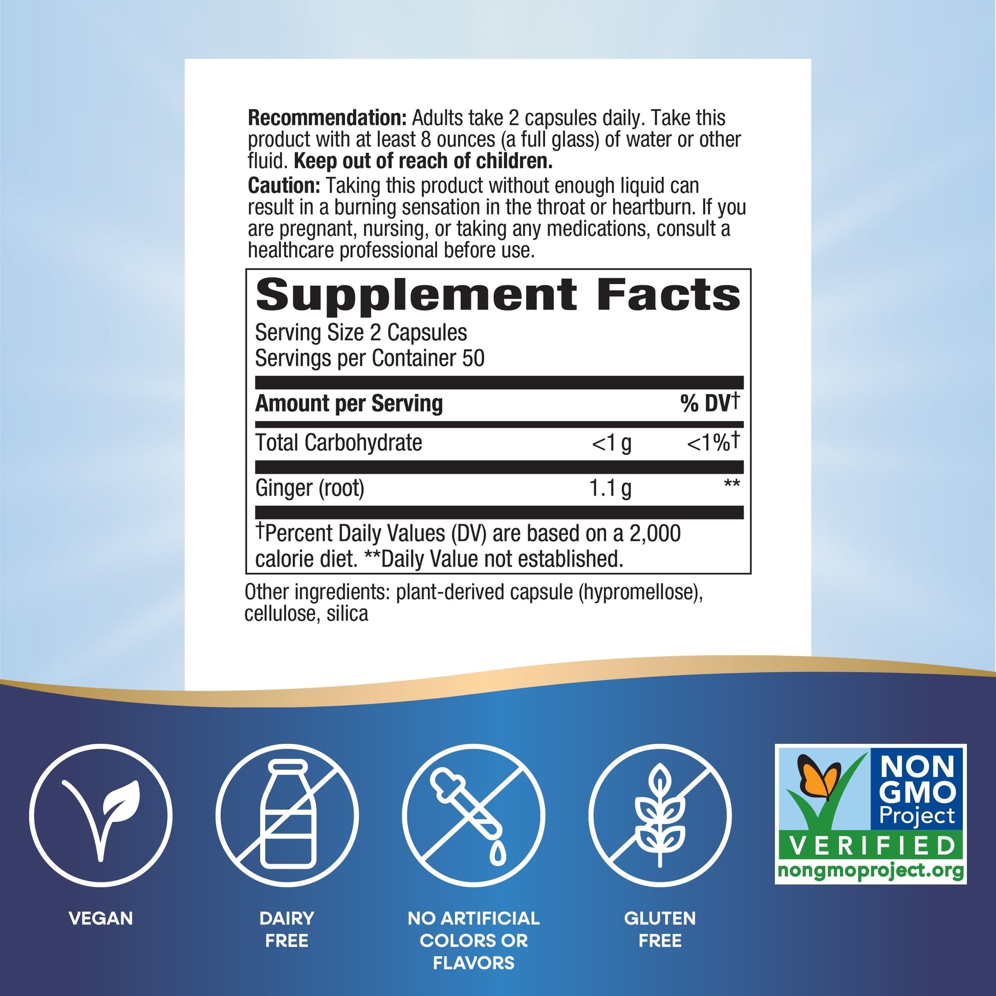 Nature's Way Ginger Root, Promotes Digestive Comfort*, Reduces Motion-Related Nausea*, 1,100 mg Per 2-capsule Serving, Non-GMO Project Verified, Vegan, 240 Capsules (Packaging May Vary) Nirvana Guru