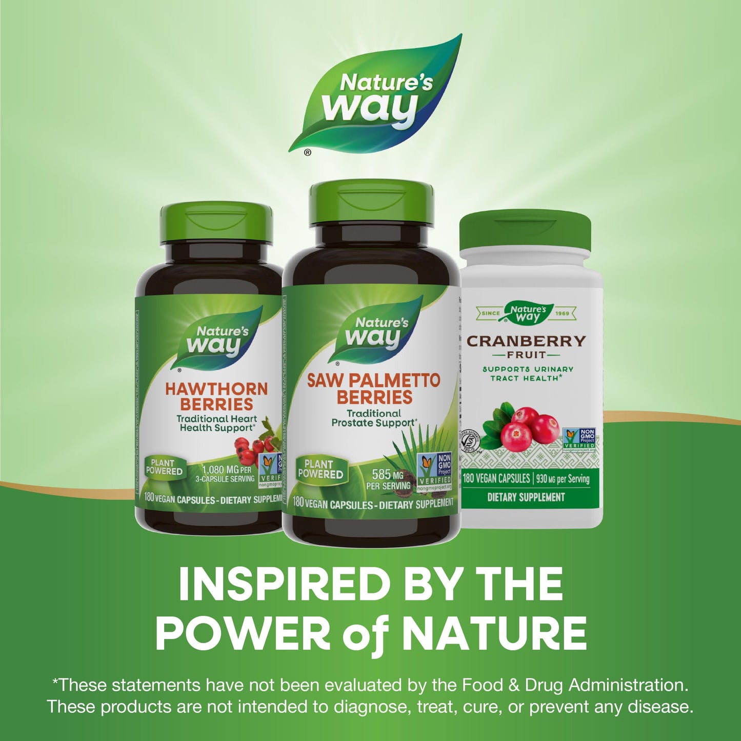Nature's Way Saw Palmetto Berries, Traditional Prostate Support*, 585 mg per Serving, Non-GMO Project Verified, Vegan, 180 Capsules (Packaging May Vary) - Nirvana Guru