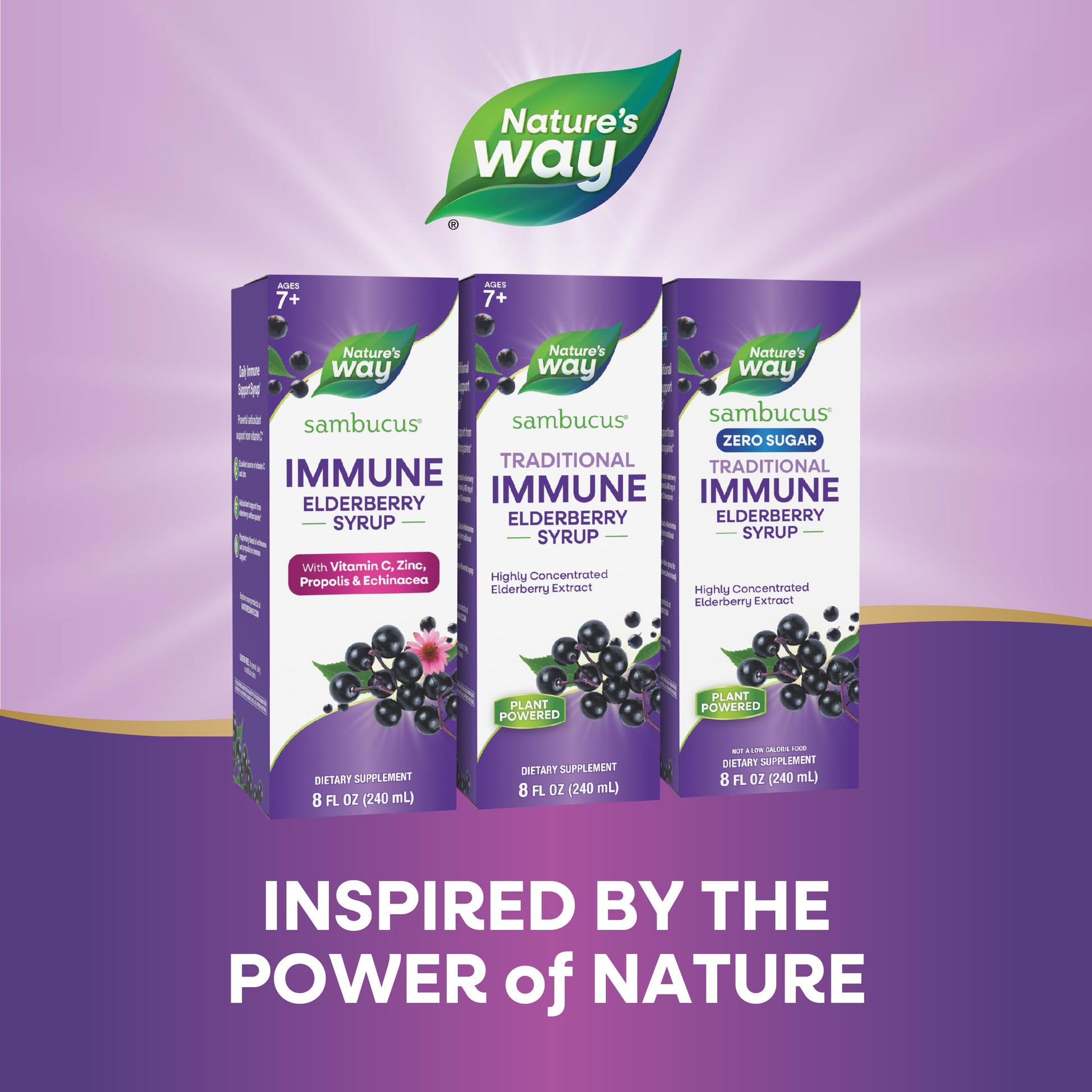 Nature’s Way Sambucus Elderberry Traditional Immune Syrup, Highly Concentrated Black Elderberry Extract, Traditional Immune Support*, Delicious Berry Flavored, 8 Fl Oz (Packaging May Vary) - Nirvana Guru