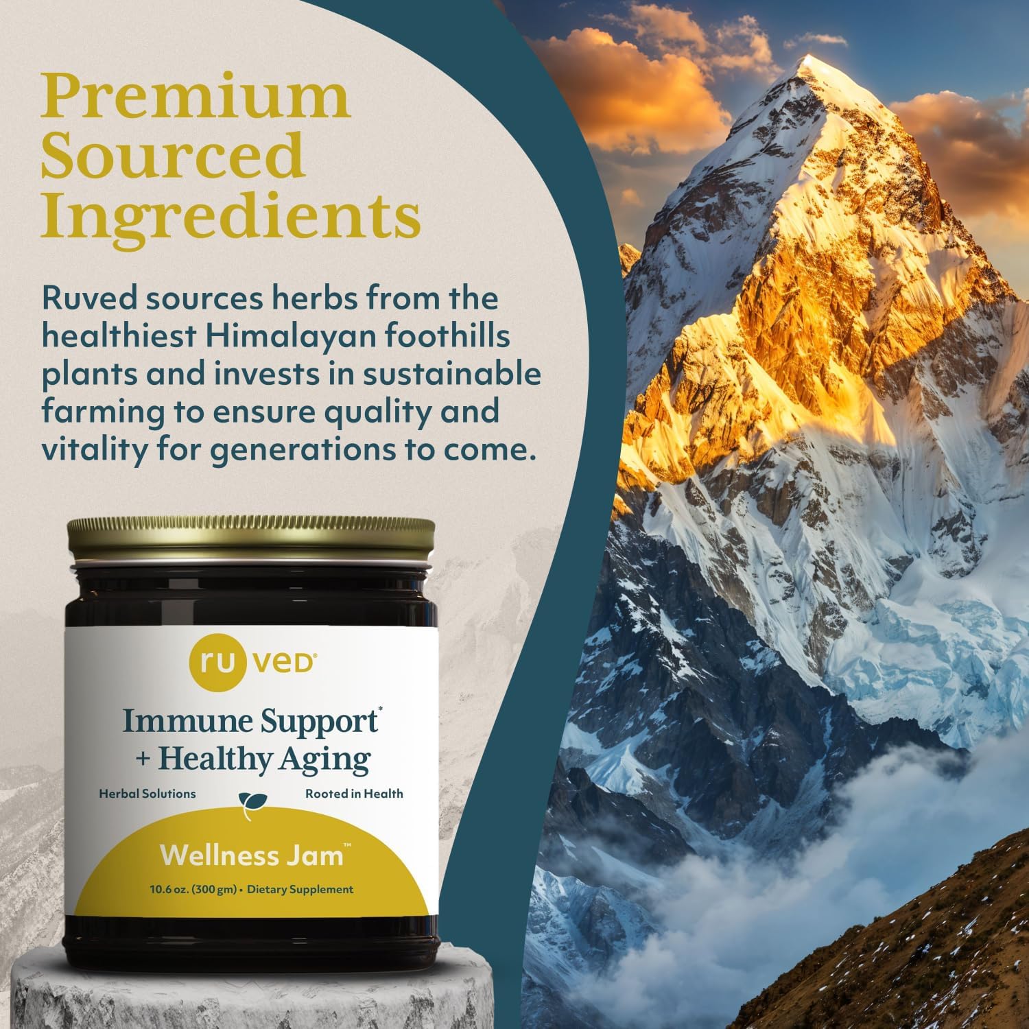 RUVED Wellness Jam with Amla, Enhanced Chanvanprash, Immune and Digestive Support, 10.6 oz Nirvana Guru