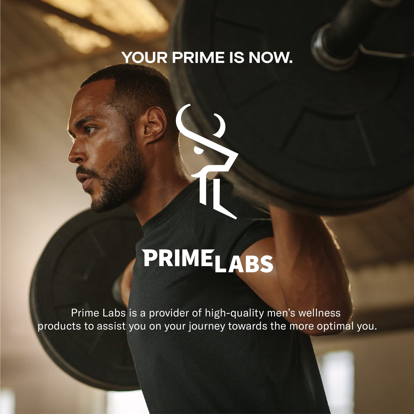 Prime Labs - Men's Testosterone Booster - Stamina, Endurance, & Strength Booster - 60 Caplets Nirvana Guru