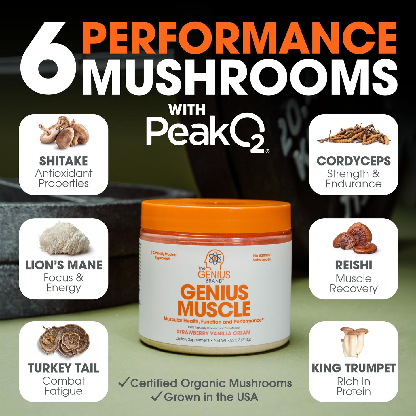 The Genius Brand Genius Muscle - Muscle Health Supplement for Growth, Endurance & Recovery - Non-Hormonal Formula - 6 Organic Mushrooms - Naturally-Sweetened - 30 Servings - Strawberry Vanilla Nirvana Guru