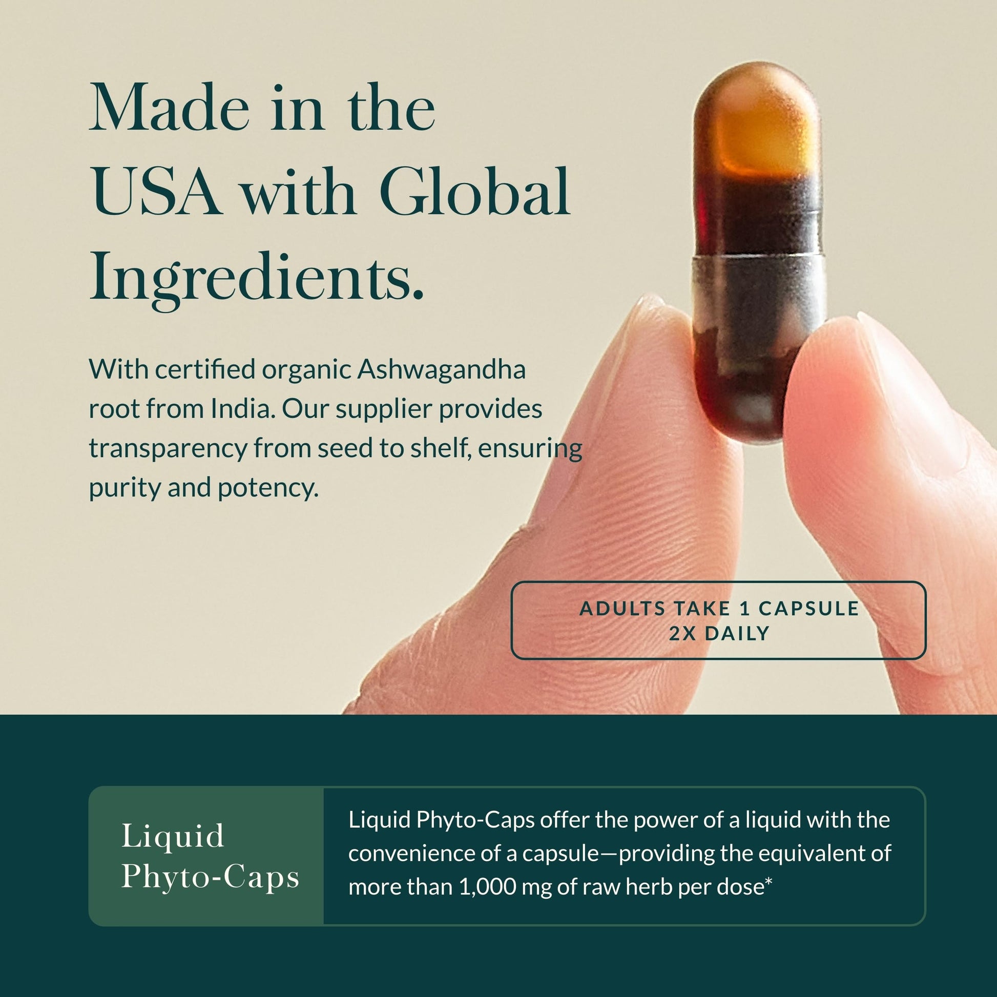 Gaia Herbs Ashwagandha Root - Stress Relief & Immune Support Supplement - Supports Balanced Energy Levels and Positive Outlook - 120 Vegan Liquid Phyto Capsules (1 Pack) Nirvana Guru