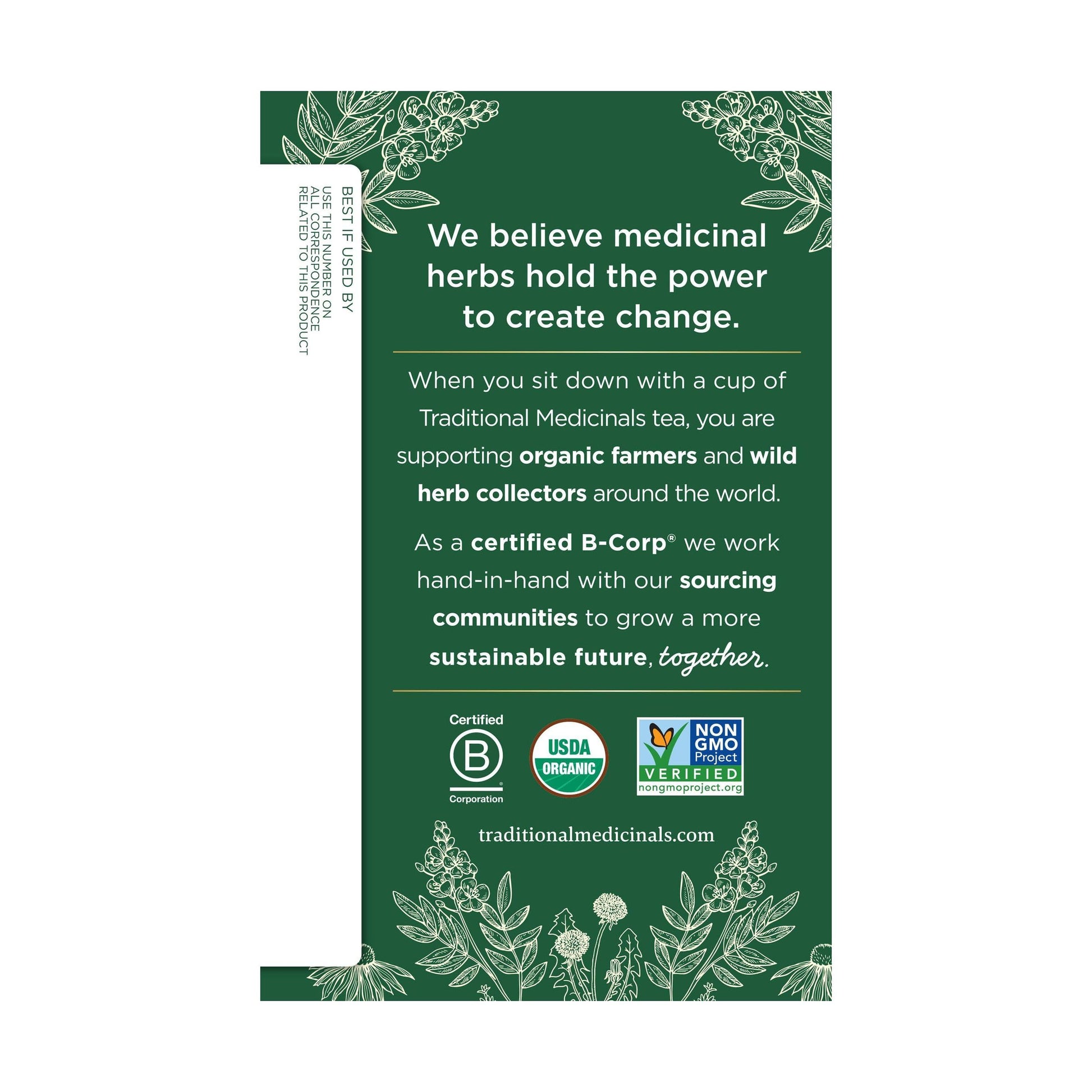 Traditional Medicinals Tea, Organic Ginger, Healthy Digestion, Pleasantly Spicy & Warming, 16 Tea Bags - Nirvana Guru