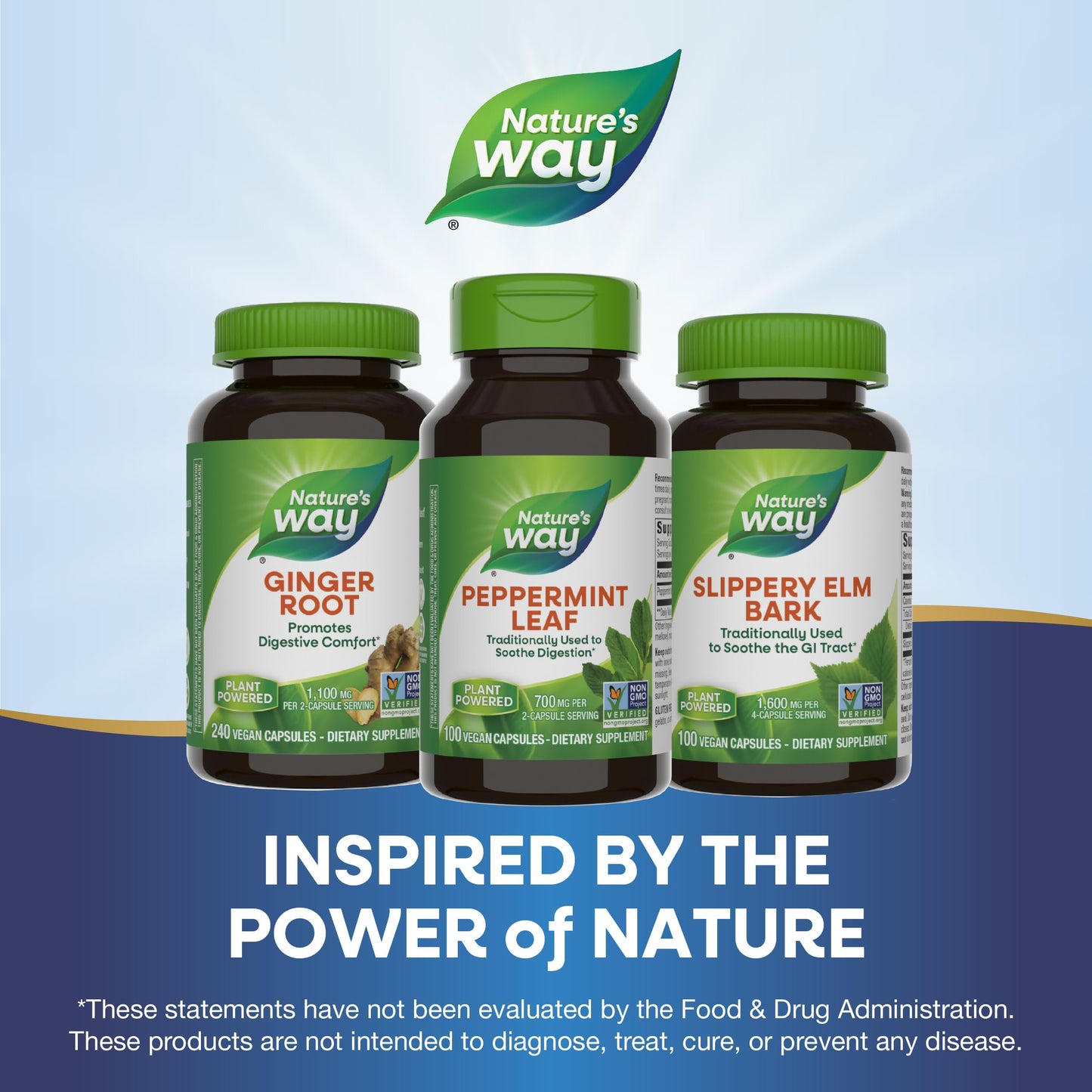 Nature's Way Peppermint Leaf, Traditionally Used to Soothe Digestion*, 700 mg per 2-Capsule Serving, Non-GMO Project Verified, 100 Vegan Capsules (Packaging May Vary) - Nirvana Guru