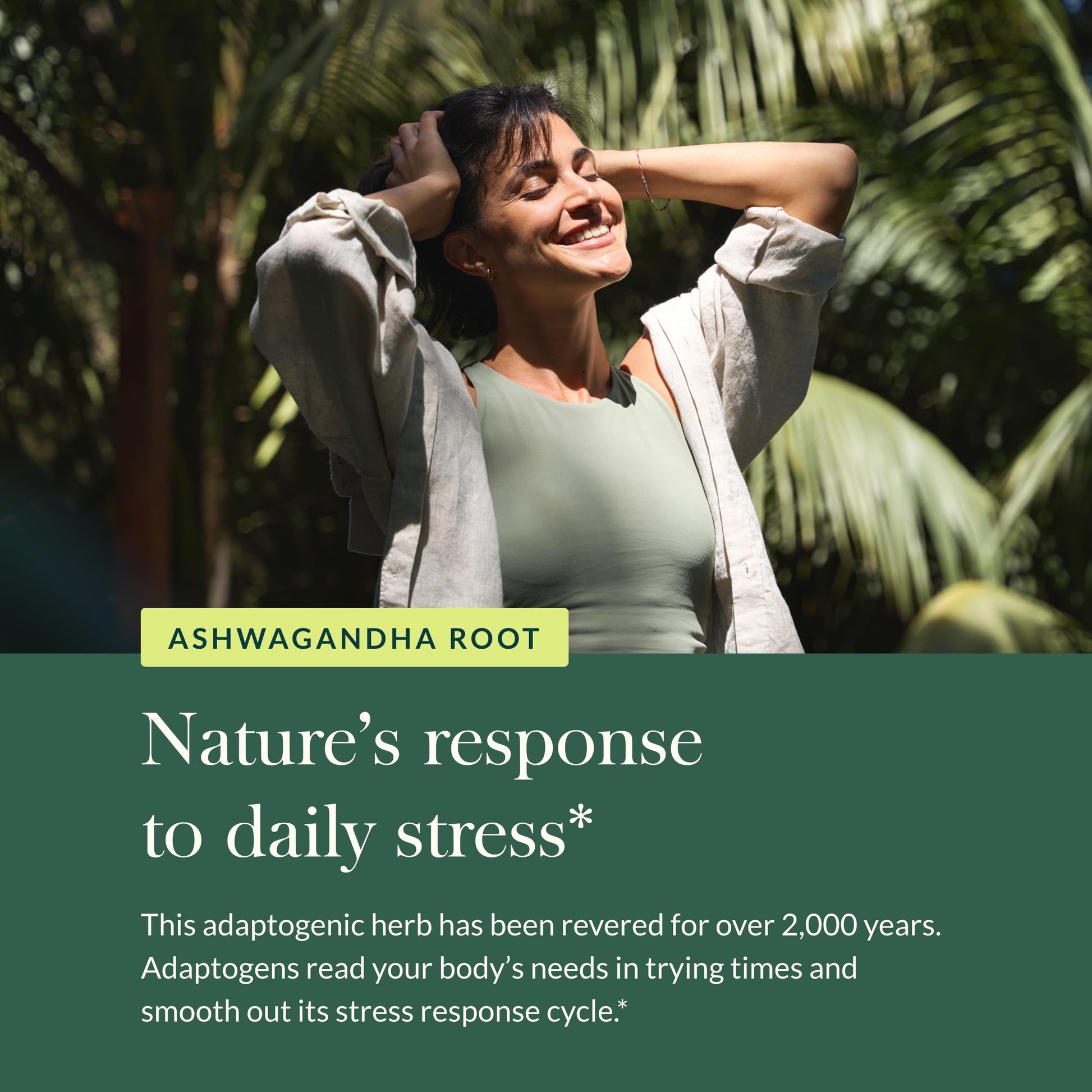 Gaia Herbs Ashwagandha Root - Stress Relief & Immune Support Supplement - Supports Balanced Energy Levels and Positive Outlook - 120 Vegan Liquid Phyto Capsules (1 Pack) Nirvana Guru