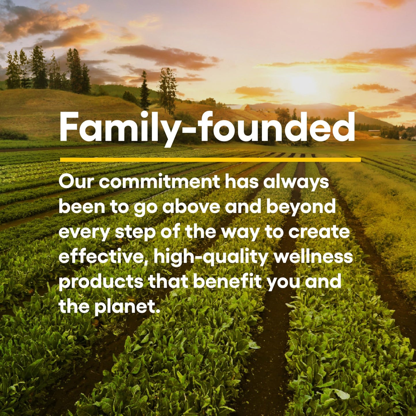 Natural Factors, Kids Chewable Vitamin C 500 mg, Supports Immune Health, Bones, Teeth and Gums, Tangy Orange, 180 Count (Pack of 1) - Nirvana Guru