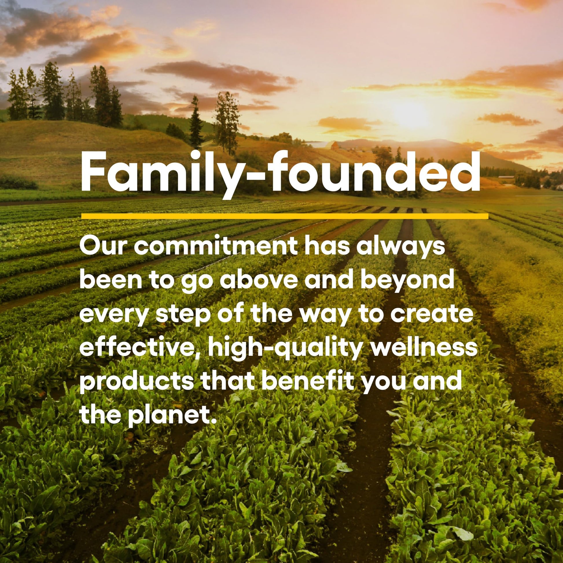 Natural Factors, Kids Chewable Vitamin C 500 mg, Supports Immune Health, Bones, Teeth and Gums, Tangy Orange, 180 Count (Pack of 1) - Nirvana Guru