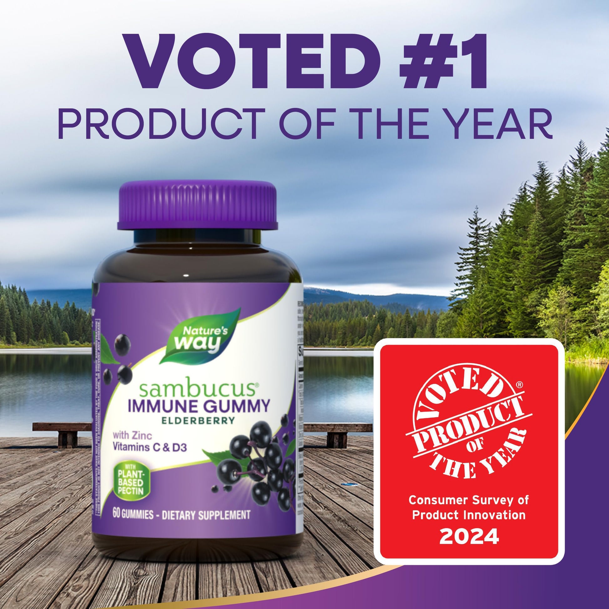 Nature's Way Sambucus Elderberry Immune Gummies for Kids, Immune Support Gummies*, with Black Elderberry Extract, Vitamin C and Zinc, 60 Gummies (Packaging May Vary) - Nirvana Guru