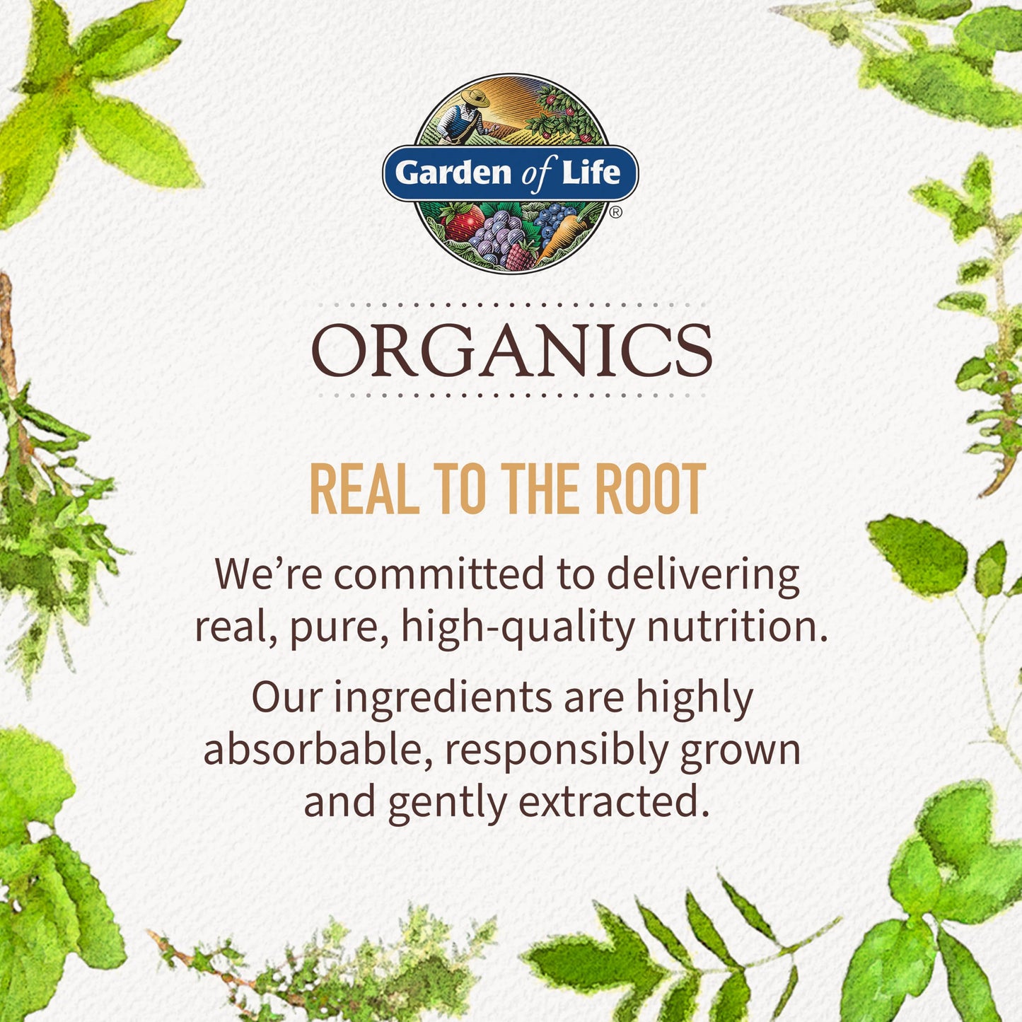 Garden of Life Organics Prenatal Vitamins - 30 Tablets, Prenatal Once Daily Whole Food Vitamins for Women with Folate not Folic Acid, Vitamin D3, Iron, Vegan One a Day Prenatal Multivitamin - Nirvana Guru
