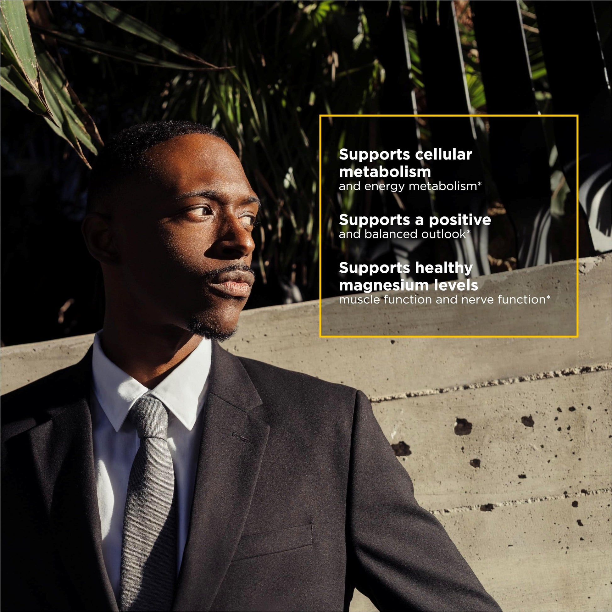 Integrative Therapeutics Tri-Magnesium - Supports Healthy Bones & Teeth* - Supports Cardiovascular & Neurological Function* - Promotes Calm* - 90 Capsules - Nirvana Guru