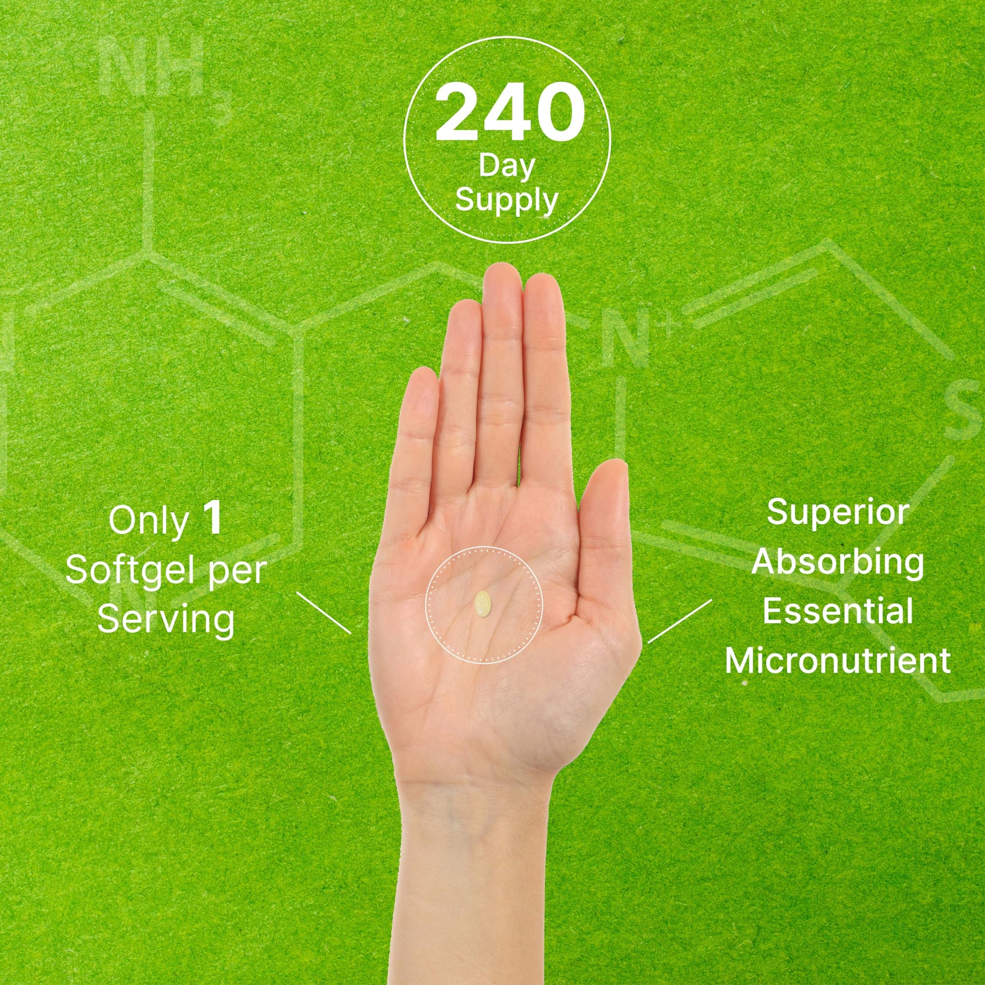 DEAL SUPPLEMENT Vitamin K2 MK-7 200mcg Per Serving, 240 Coconut Oil Softgels | Easily Absorbed Menaquinone-7 Form | Bone, Joint, & Immune Support – Non-GMO Nirvana Guru