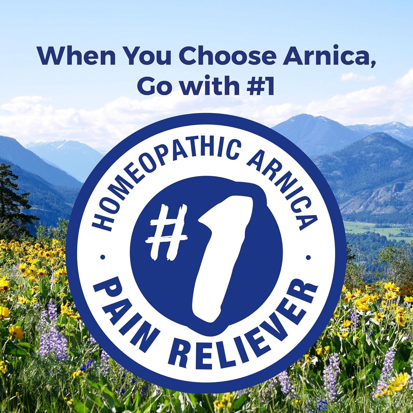 Boiron Arnica Montana 30X Homeopathic Medicine for Relief from Muscle Pain, Muscle Stiffness, Swelling from Injury, and Discoloration from Bruises - 3 Count (240 Pellets) - Nirvana Guru