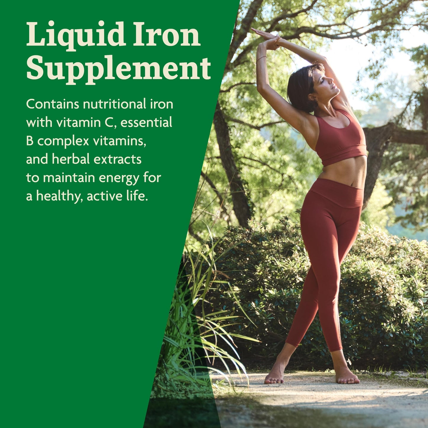 Floradix by Salus Iron & Herbs - Liquid Herbal Supplement for Energy Support* - Iron Supplement with Vitamin C & B Complex Vitamins - for Men & Women - 8.5 Fl Oz Nirvana Guru
