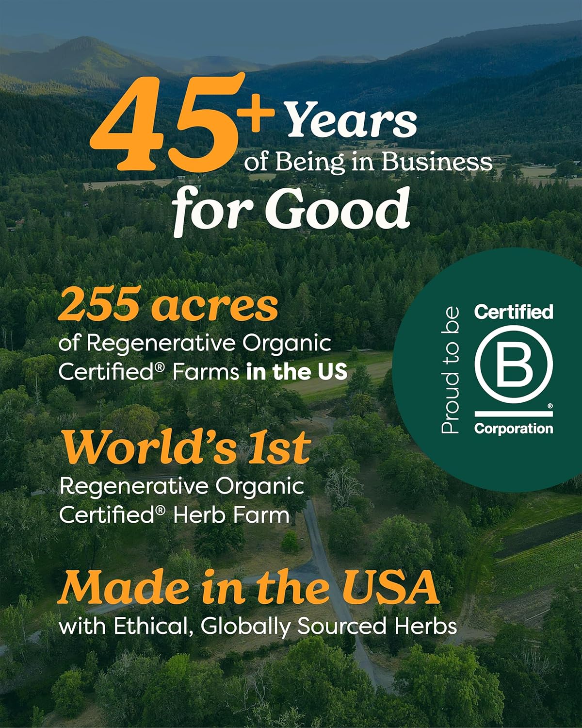 Herb Pharm Kids Mullein and Garlic Oil, Calendula, Garlic, Mullein, St. John's Wort, Olive Oil, 1 Fl Oz (Pack of 1) - Nirvana Guru