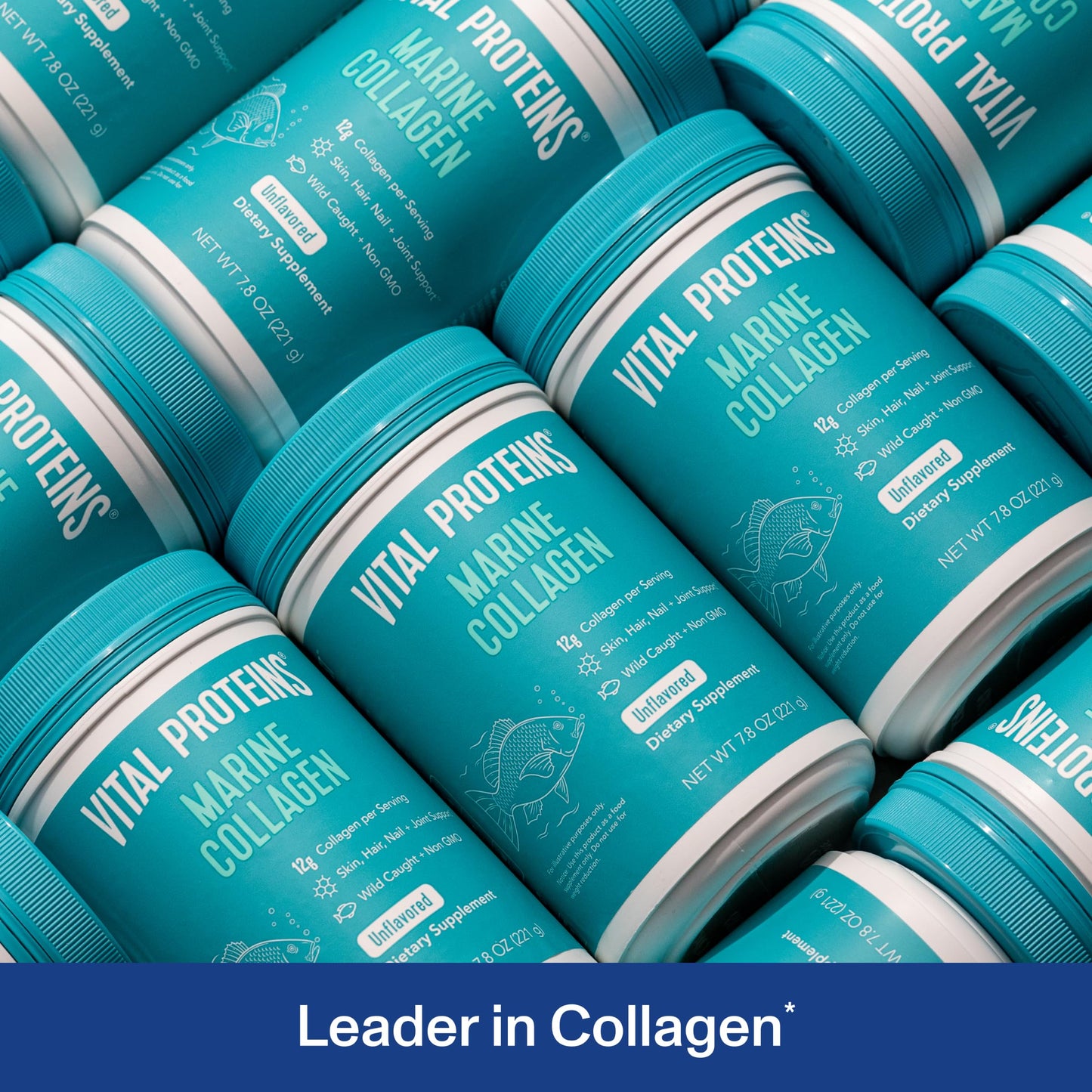 Vital Proteins Marine Collagen Peptides Powder Supplement for Skin Hair Nail Joint - Hydrolyzed Collagen - 12g per Serving - 14.5oz Canister - Nirvana Guru
