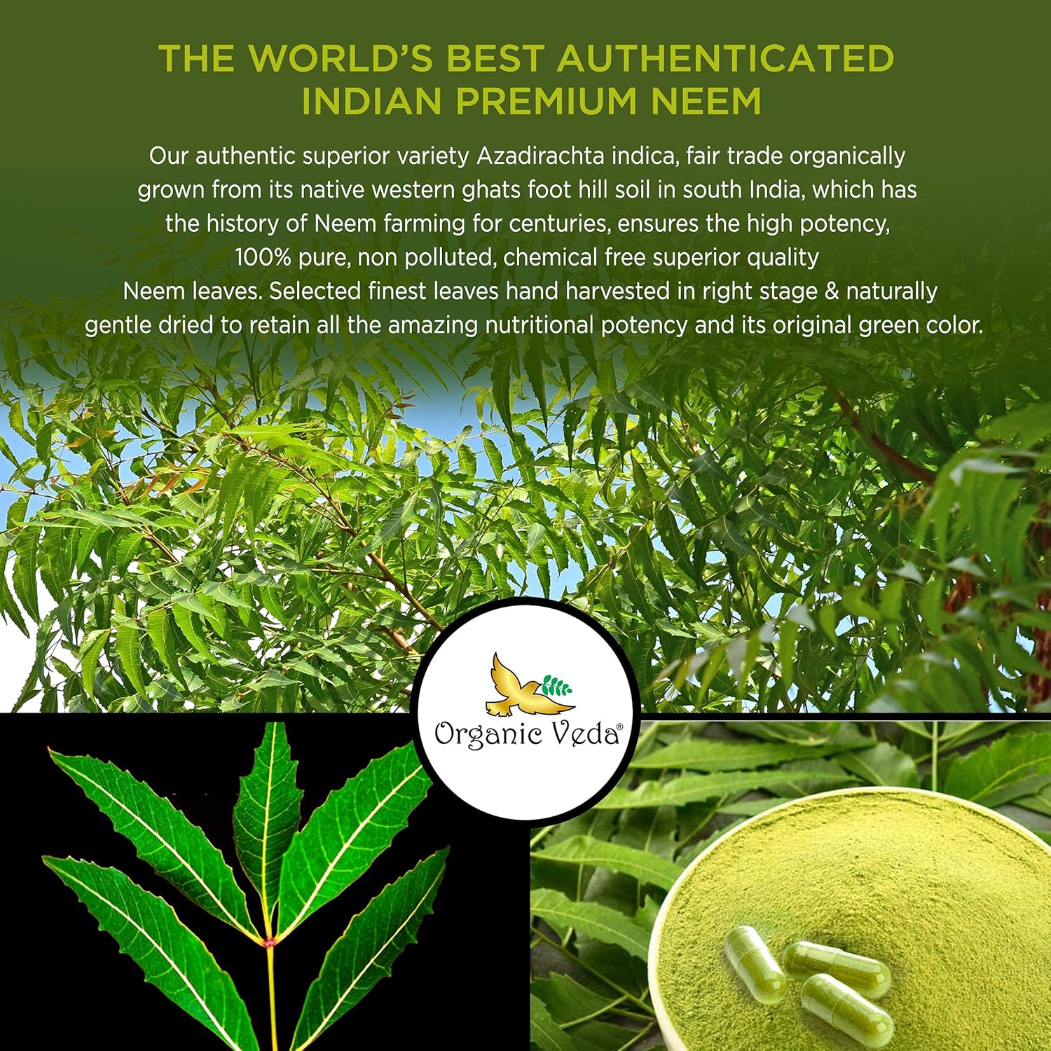 Organic Veda Neem Capsules, 1000mg - Organic Herbal Supplement Made with Ayurvedic India Neem Leaf Powder - Supports Radiant Skin, Immune, Detox, Healthy Inflammatory Response - 120 Veggie Capsules Nirvana Guru