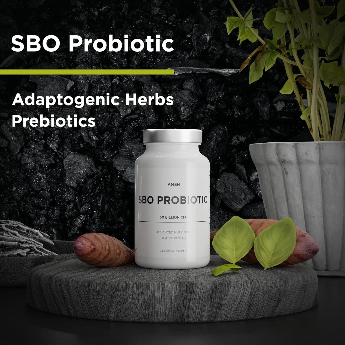 Amen Probiotics Supplement, SBO Probiotic and Organic Prebiotics - Nirvana Guru