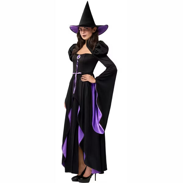 Joyfy Classic Witch Costume for Women Halloween Witch Dress with Hat & Accessories for Halloween Cosplay Dress up Party nirvanaguru