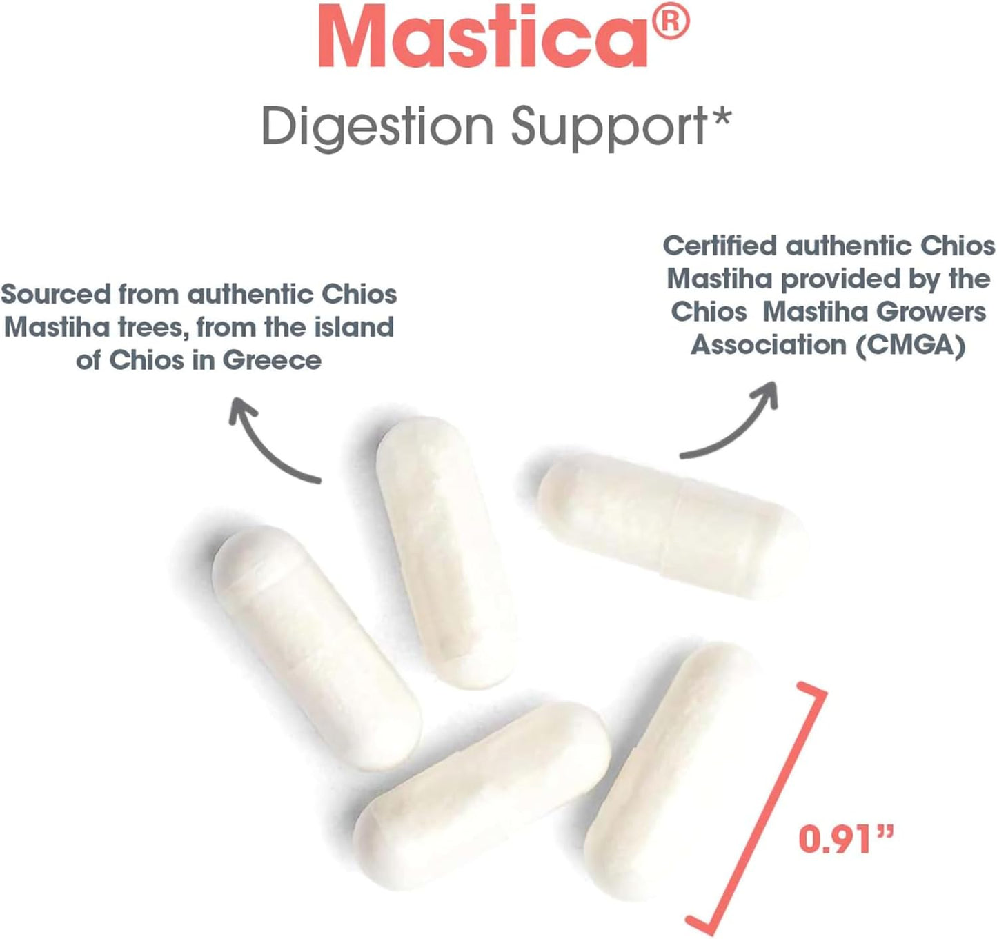 Allergy Research Group Mastica Dietary Supplement - GI Health, Helps Relieve Digestive Problems - Nirvana Guru