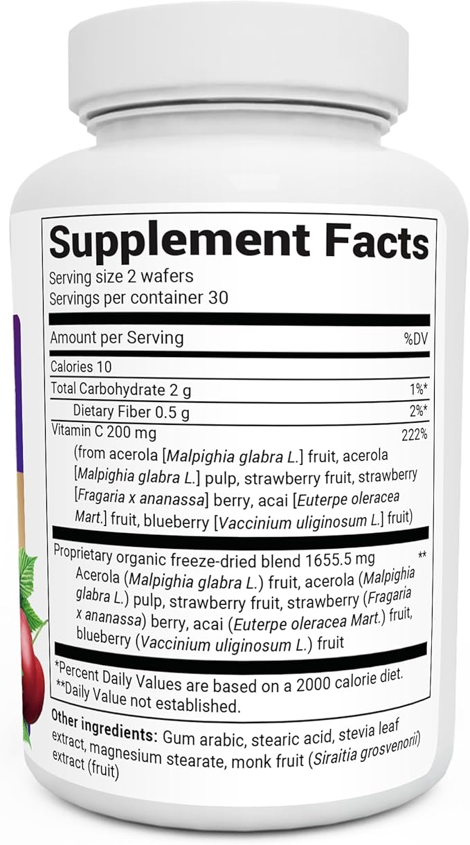 Dr. Berg Chewable Vitamin C Complex - Made with Organic, Non-GMO Berries - 60 Delicious Wafers - Nirvana Guru