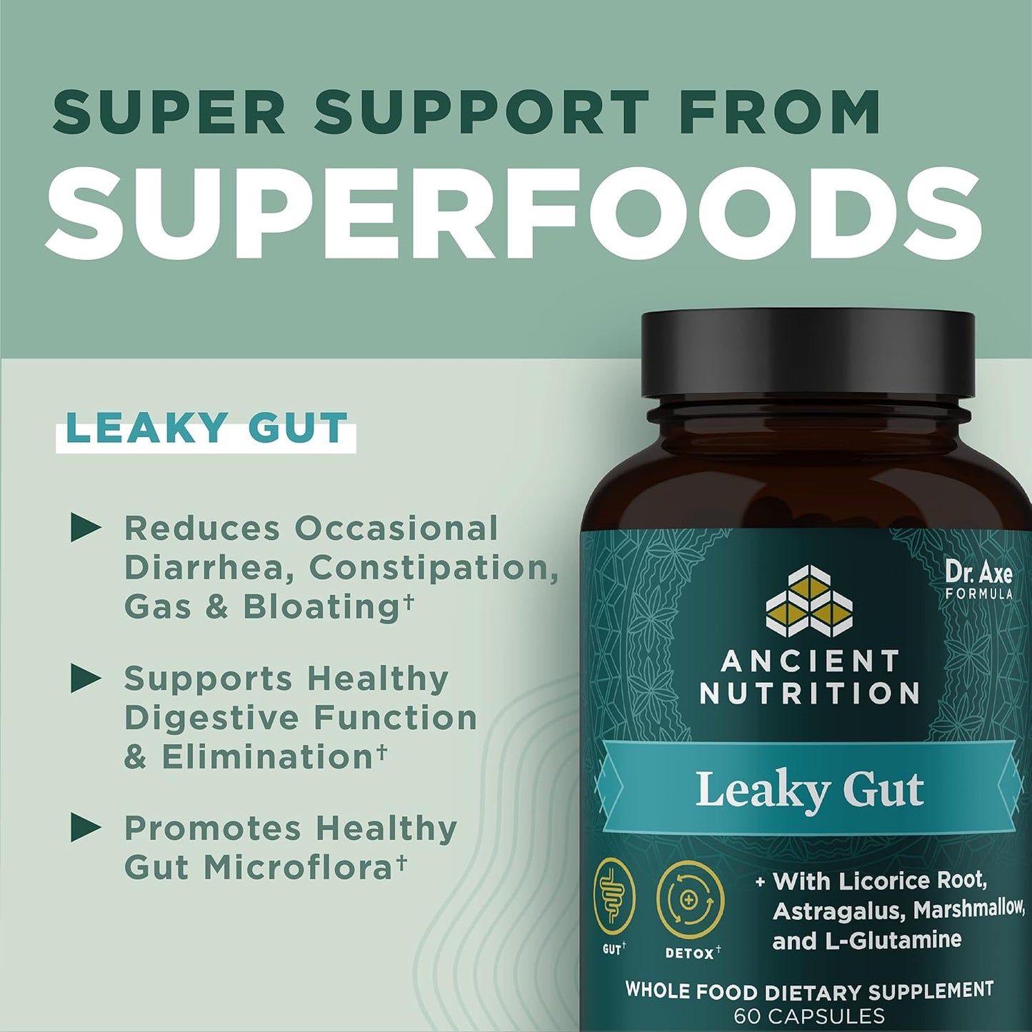 Ancient Nutrition Gut Health Supplement Leaky Gut Capsules,60 Ct - Nirvana Guru