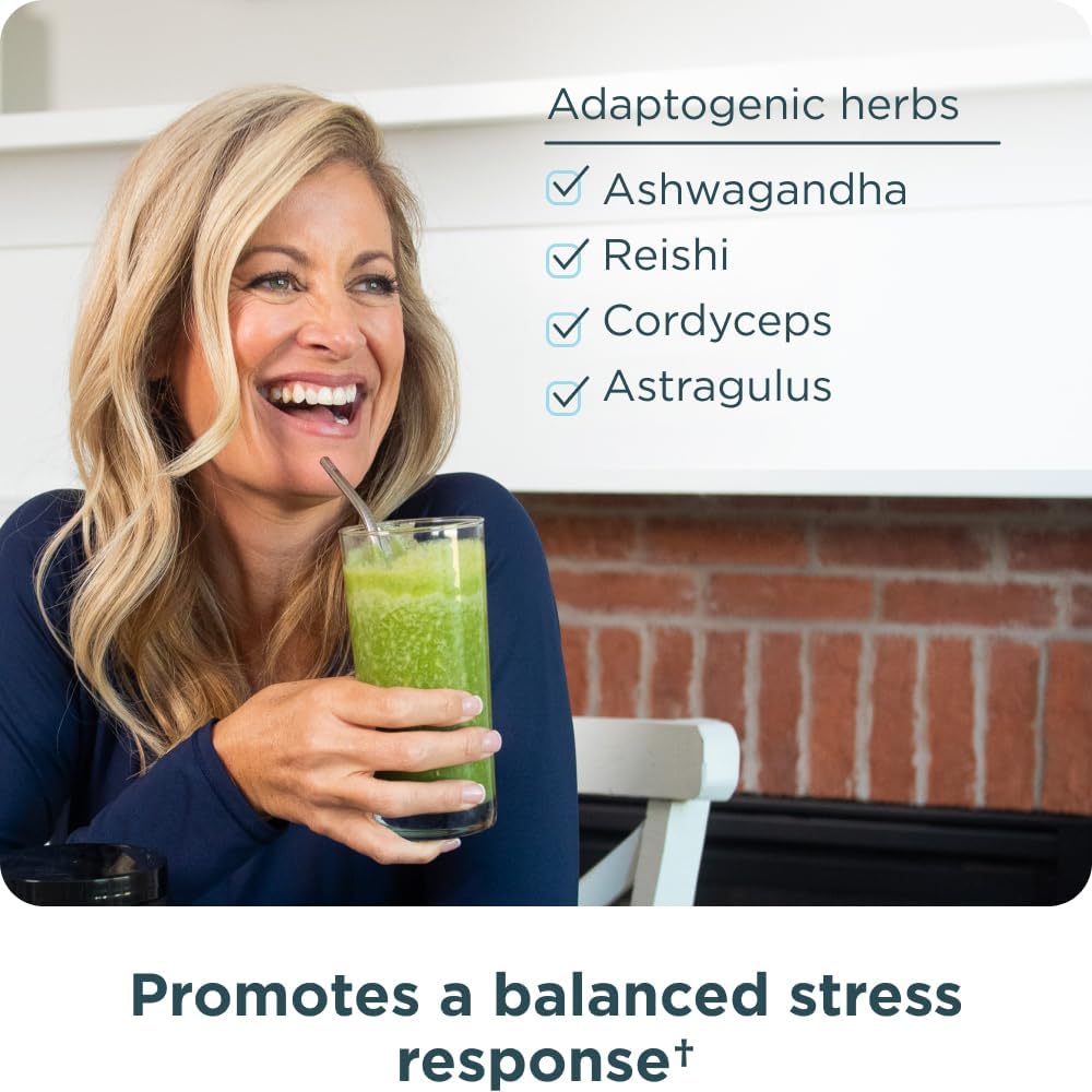 Ancient Nutrition Super Greens,Organic Superfood Powder with Probiotics 25 Servings - Nirvana Guru
