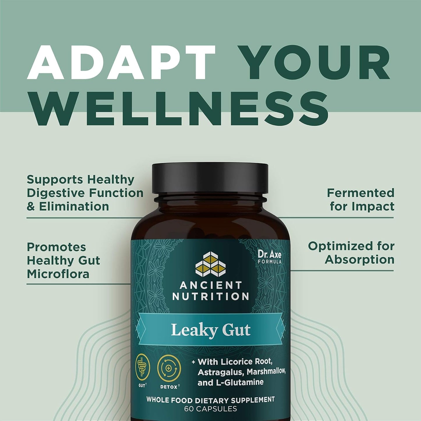 Ancient Nutrition Gut Health Supplement Leaky Gut Capsules,60 Ct - Nirvana Guru