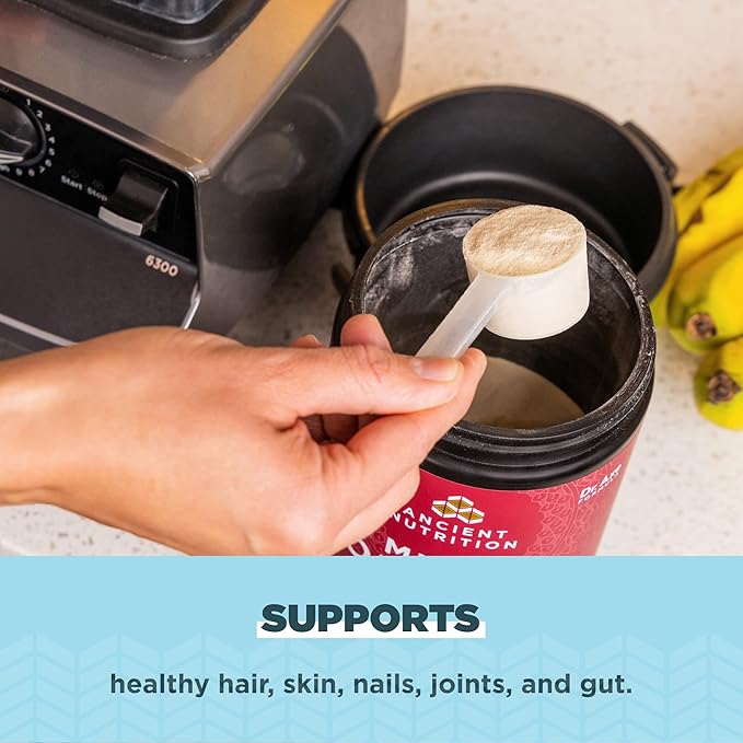Ancient Nutrition Collagen Powder Protein,Brain Boost 45 Servings - Nirvana Guru