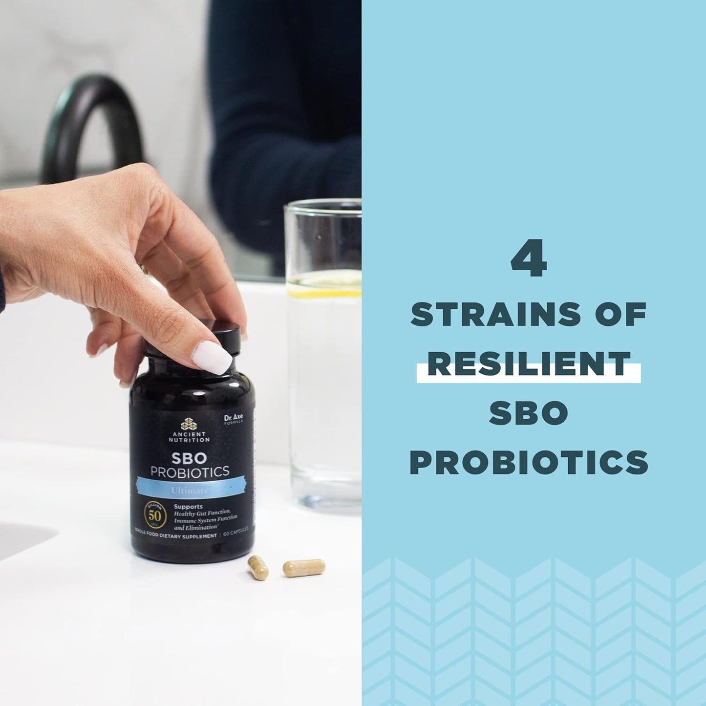 Ancient Nutrition Probiotics with SBO Probiotics - Nirvana Guru