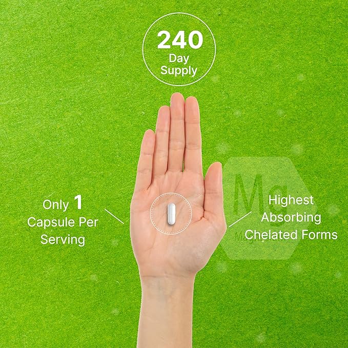 Magnesium Complex Supplement 500mg, 240 Veggie Capsules - Nirvana Guru