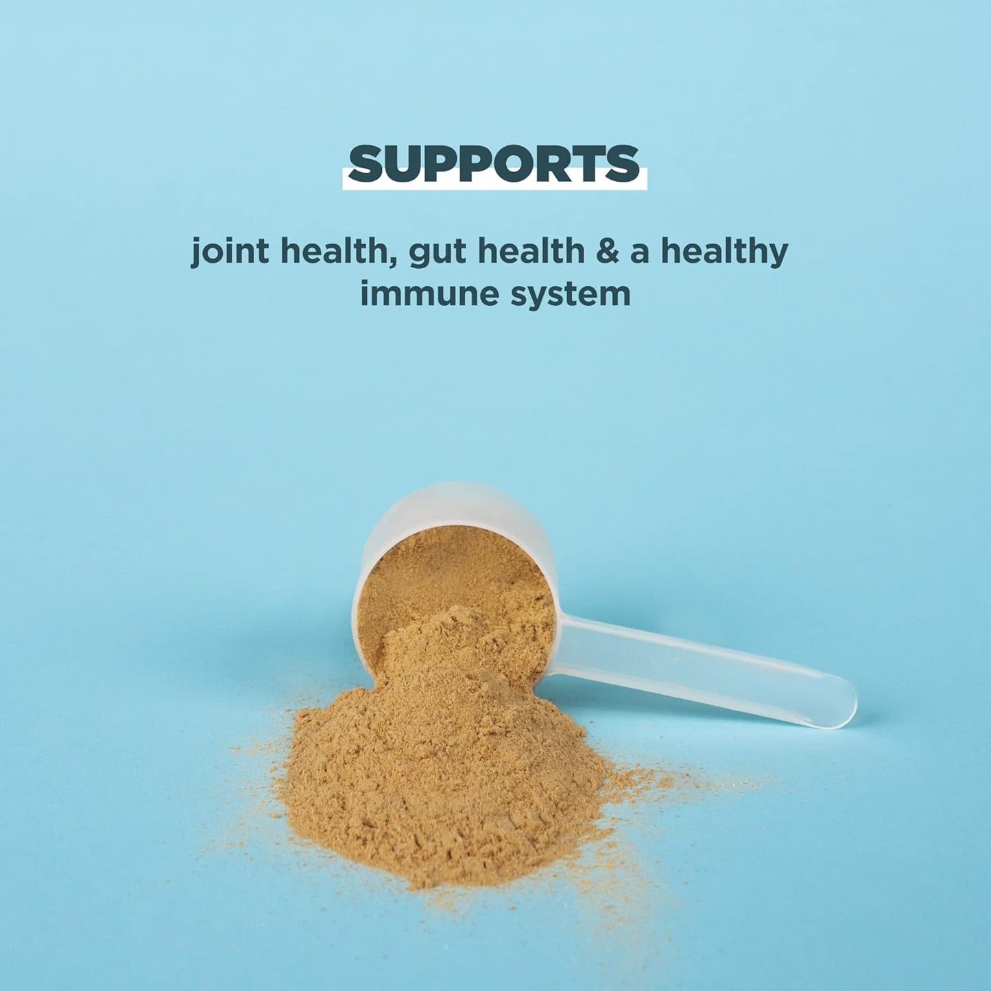 Ancient Nutrition Protein Powder with Real Bone Broth - Nirvana Guru