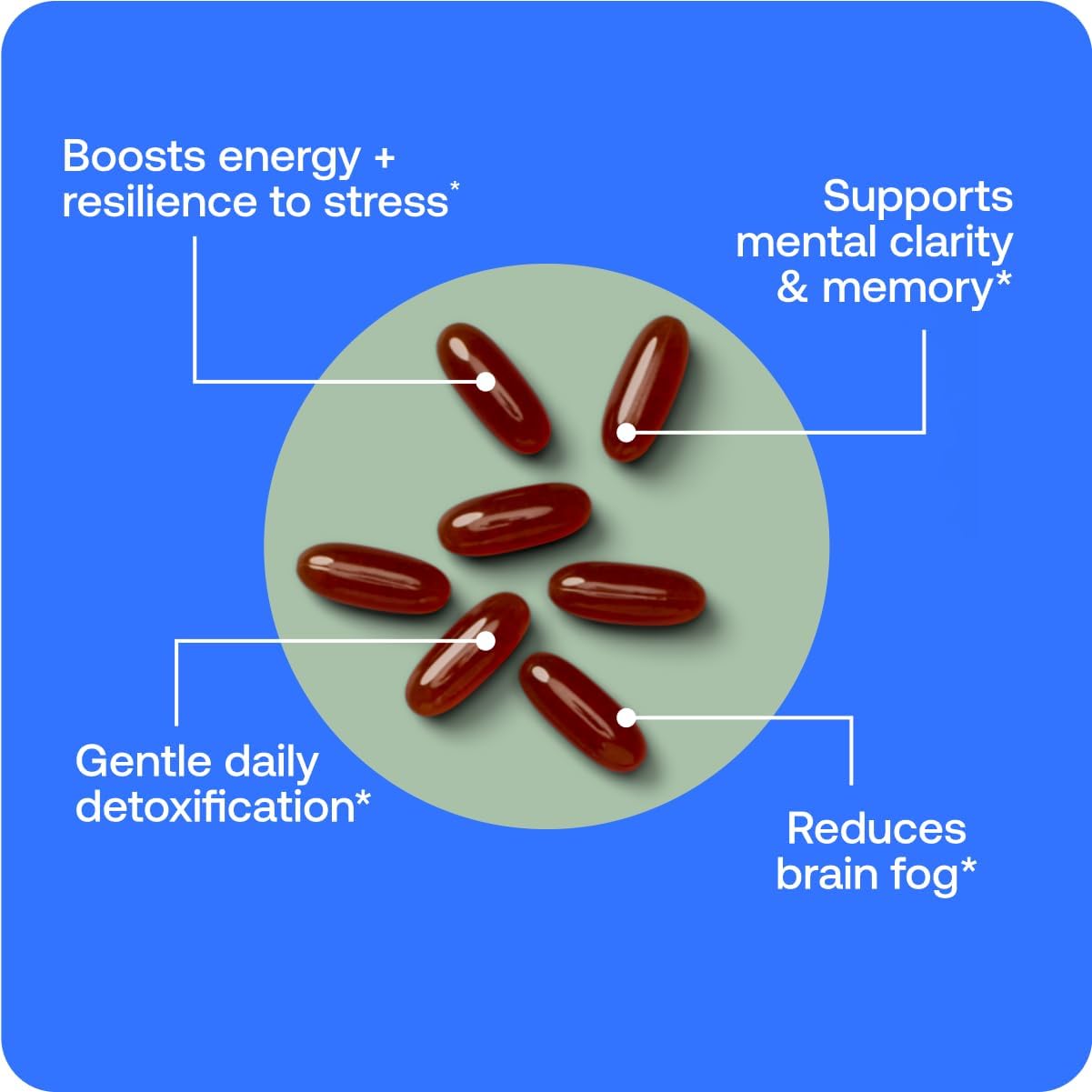 BodyBio PC Phosphatidylcholine for Mental Clarity, Healthy Aging, Cellular Repair, and Gentle Daily Detoxification - 100 Softgels - Nirvana Guru