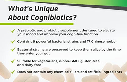 BiOptimizers The Ultimate Gut Health Stack - Chocolate, Promotes and Levels Gut Health Nirvana Guru