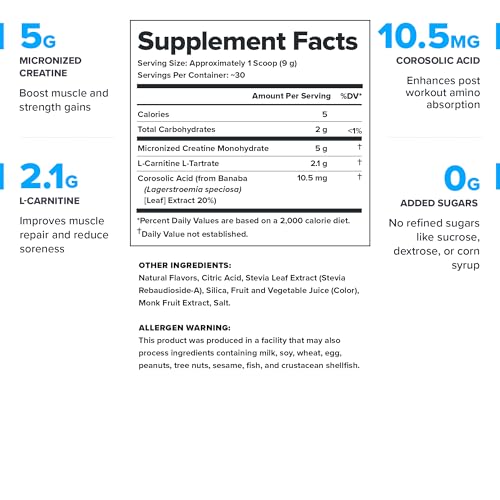 LEGION Recharge Post Workout Drink - Micronized Creatine Monohydrate Natural Post Workout Recovery Drink - Muscle Builder & Recovery Booster Post Workout Supplements (Strawberry Lemonade, 30 Servings) Nirvana Guru