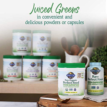 Garden of Life Raw Organic Perfect Food Green Superfood Juiced Greens Powder - Chocolate, 30 Servings (Packaging May Vary) - Nirvana Guru