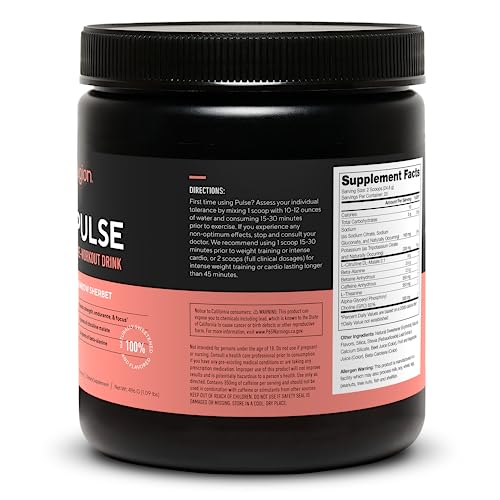 LEGION Pulse Pre Workout Supplement - All Natural Nitric Oxide Preworkout Drink to Boost Energy, Creatine Free, Naturally Sweetened, Beta Alanine, Citrulline, Alpha GPC (Fruit Punch) Nirvana Guru