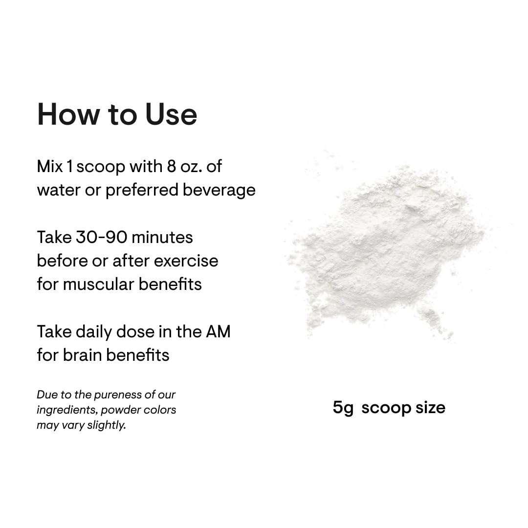 THORNE Creatine - Micronized Creatine Monohydrate Powder, Amino Acid Support for Muscles, Cellular Energy & Cognitive Function* - Unflavored - NSF Certified for Sport - 5 g per Serving - 90 Servings - Nirvana Guru