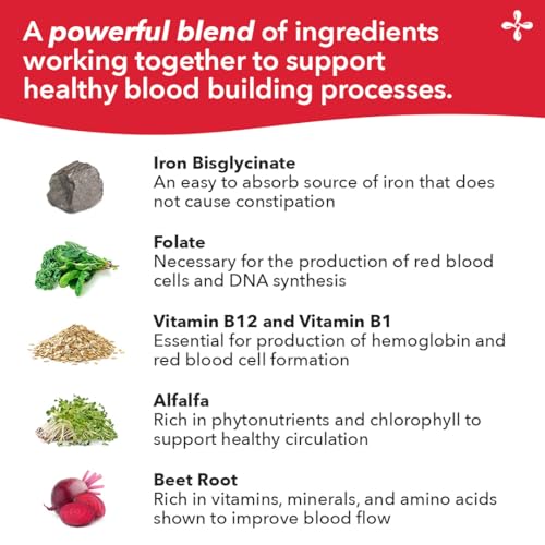 LifeSeasons - Blood Nourish-R - Iron Deficiency Supplement - Supports Anemia, Fatigue, Paleness & Dizziness - No Constipation - Blood Building - Iron, Alfalfa, Raspberry & Vitamin B-12-60 Capsules - Nirvana Guru