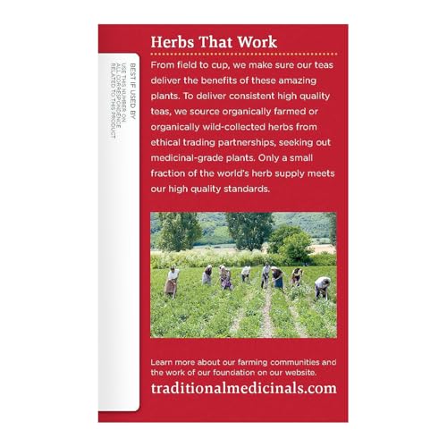 Traditional Medicinals - Breathe Easy Seasonal Tea - Promotes Respiratory Health - 16 Tea Bags - Nirvana Guru