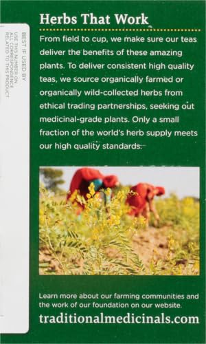 Traditional Medicinals Organic Fennel Tea, 16 Count - Nirvana Guru