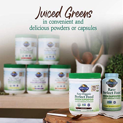 Garden of Life Raw Organic Perfect Food Green Superfood Juiced Greens Powder - Chocolate, 30 Servings (Packaging May Vary) - Nirvana Guru